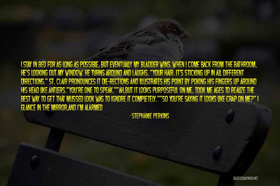 Novelties Company Quotes By Stephanie Perkins Novelties Company Quotes By Stephanie Perkins