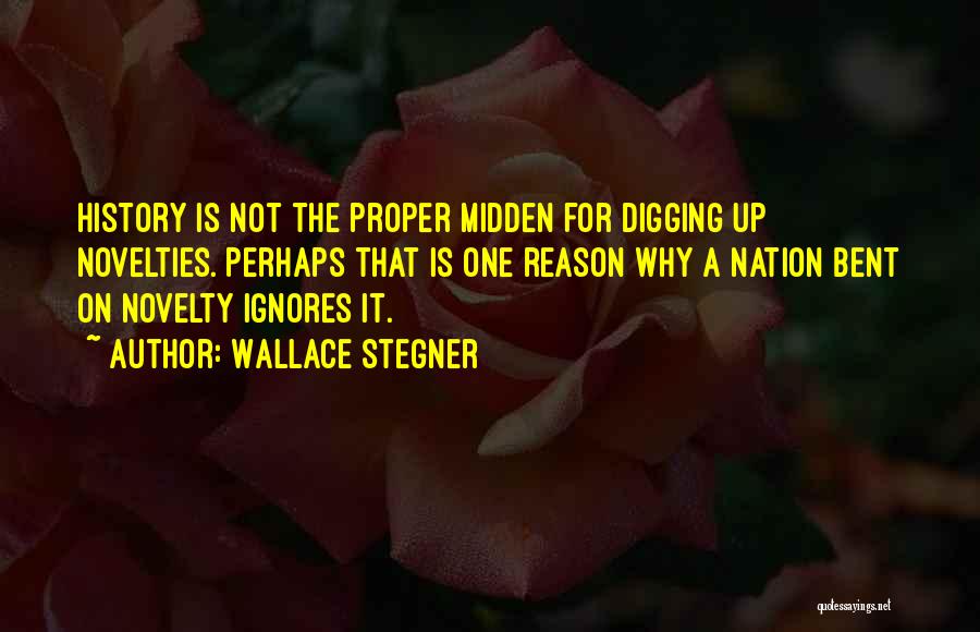 Novelties Quotes By Wallace Stegner