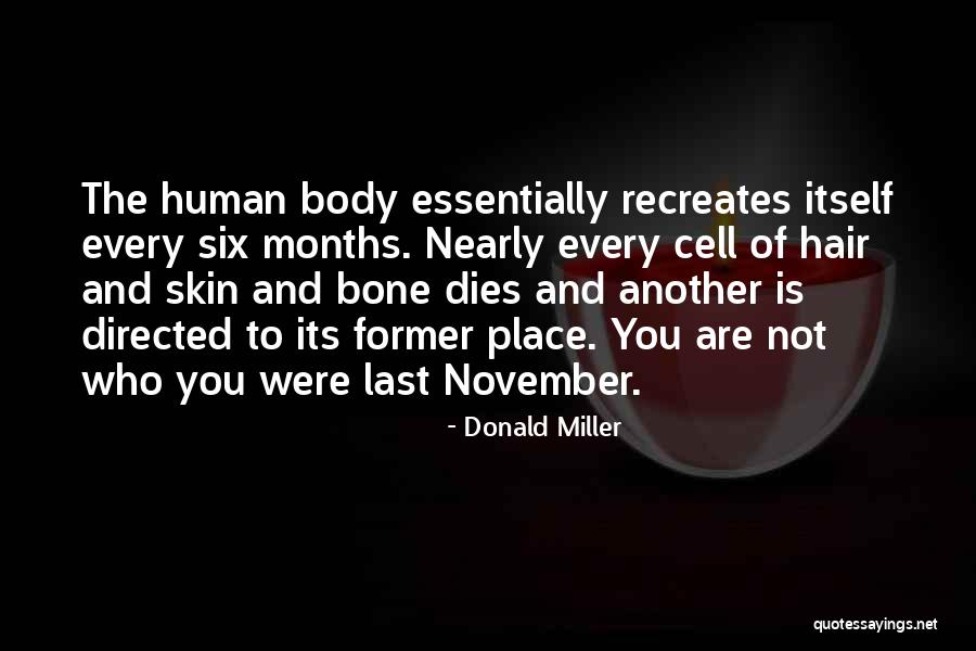 November Inspirational Quotes By Donald Miller November Inspirational Quotes By Donald Miller