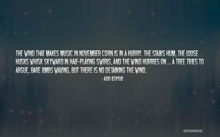 November Quotes By Aldo Leopold November Quotes By Aldo Leopold