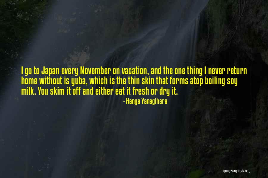 November Quotes By Hanya Yanagihara November Quotes By Hanya Yanagihara