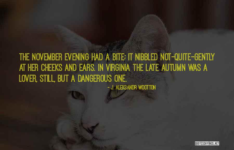 November Quotes By J. Aleksandr Wootton November Quotes By J. Aleksandr Wootton