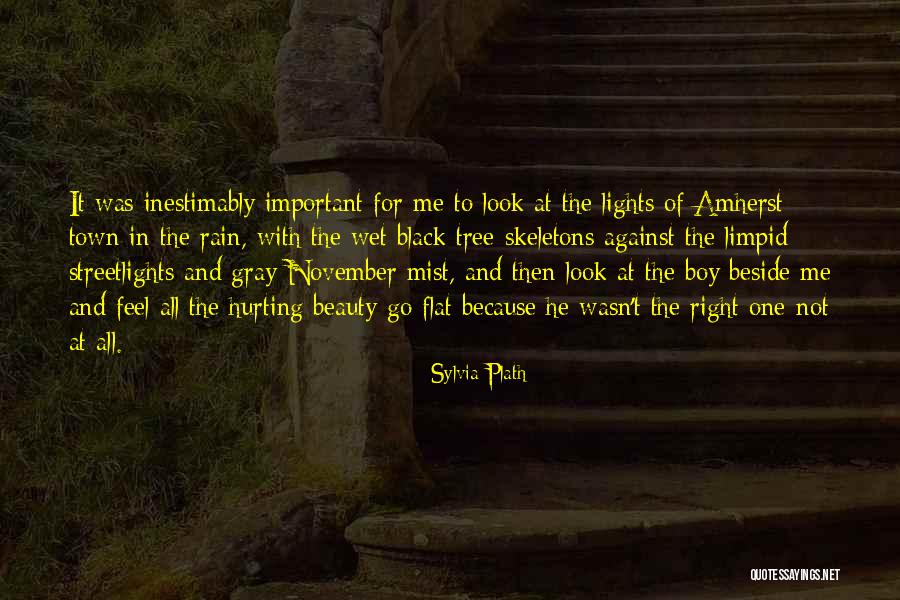 November Rain Quotes By Sylvia Plath November Rain Quotes By Sylvia Plath