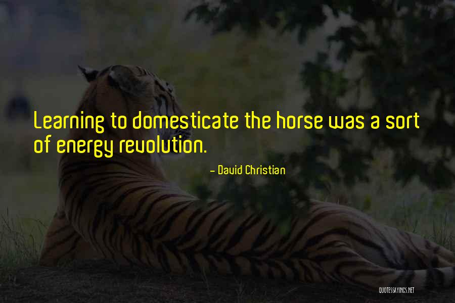 Novenas And Prayers Quotes By David Christian Novenas And Prayers Quotes By David Christian