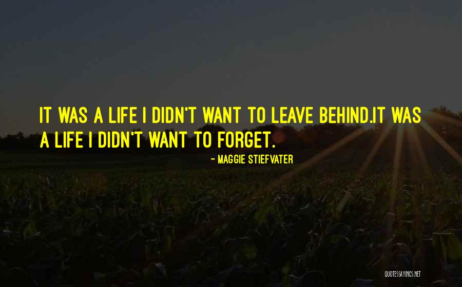 Noveno En Quotes By Maggie Stiefvater Noveno En Quotes By Maggie Stiefvater