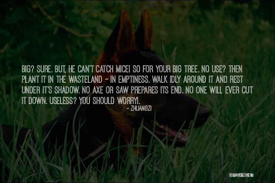 Noverrendelo Quotes By Zhuangzi Noverrendelo Quotes By Zhuangzi