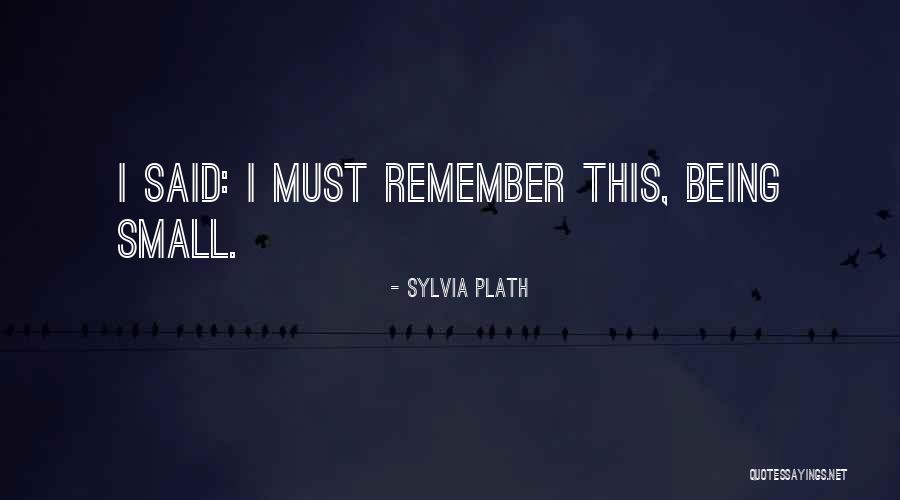 Novho Careers Quotes By Sylvia Plath Novho Careers Quotes By Sylvia Plath