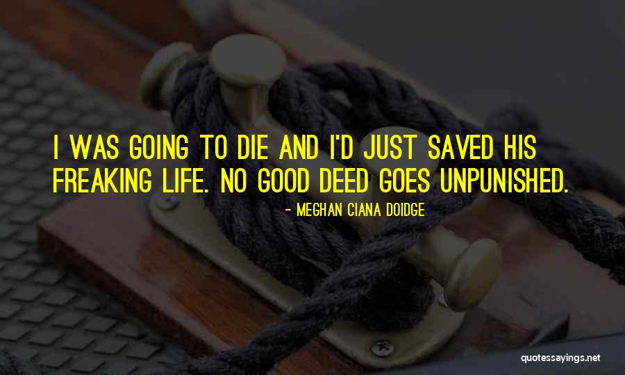Novigrad Closed Quotes By Meghan Ciana Doidge Novigrad Closed Quotes By Meghan Ciana Doidge