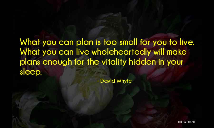 Novinho Quotes By David Whyte Novinho Quotes By David Whyte