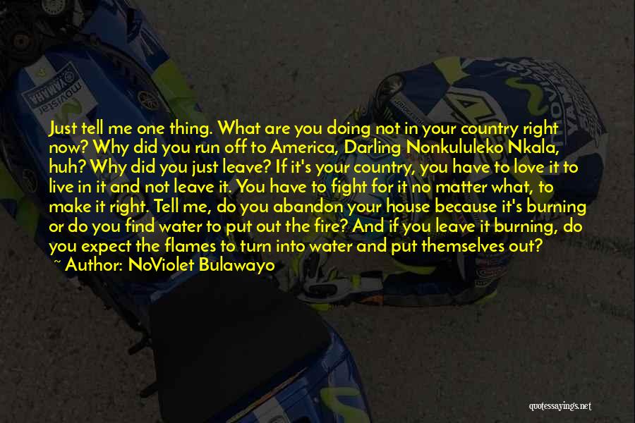 NoViolet Bulawayo Quotes 1098765