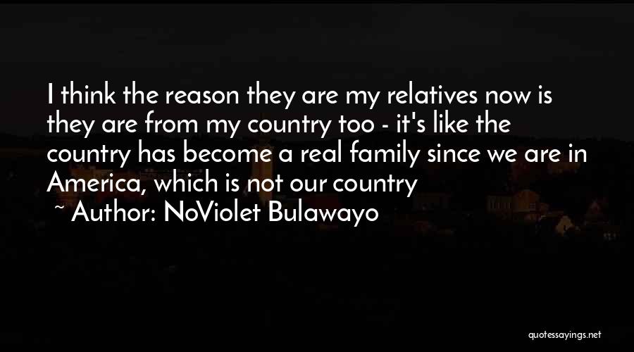 NoViolet Bulawayo Quotes 1171782