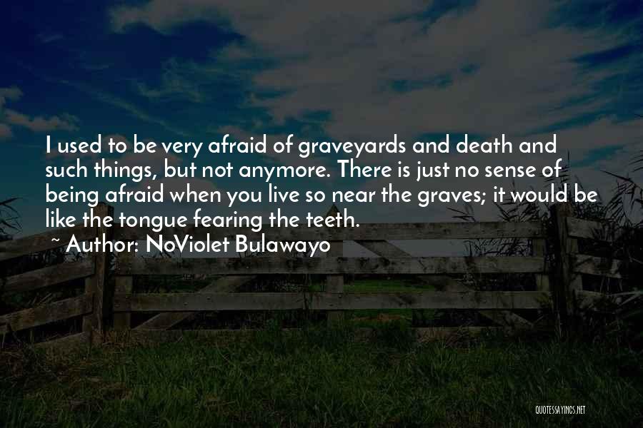 NoViolet Bulawayo Quotes 1751658