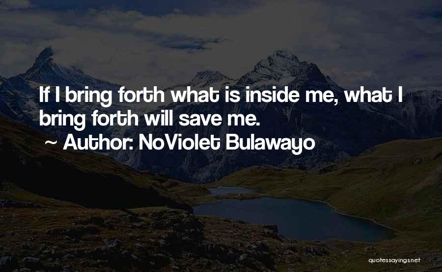 NoViolet Bulawayo Quotes 1757898