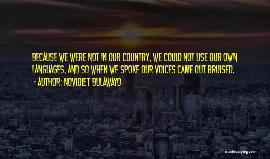 NoViolet Bulawayo Quotes 1917885