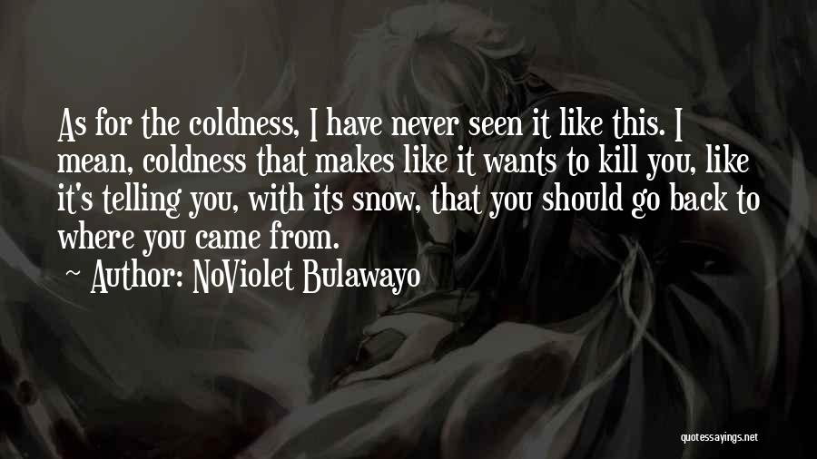 NoViolet Bulawayo Quotes 1970320