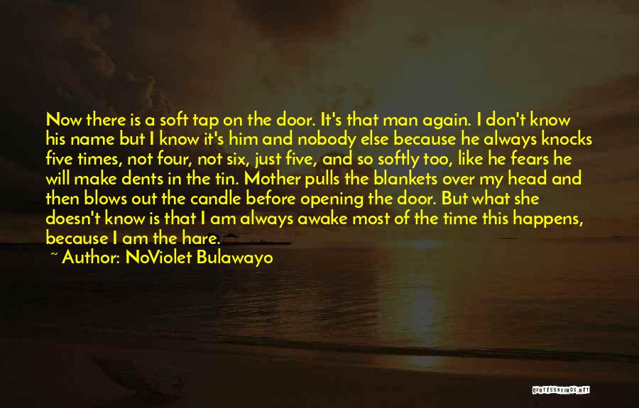 NoViolet Bulawayo Quotes 590027