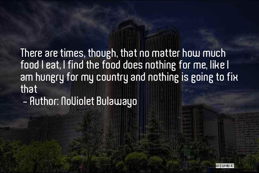 NoViolet Bulawayo Quotes 830758