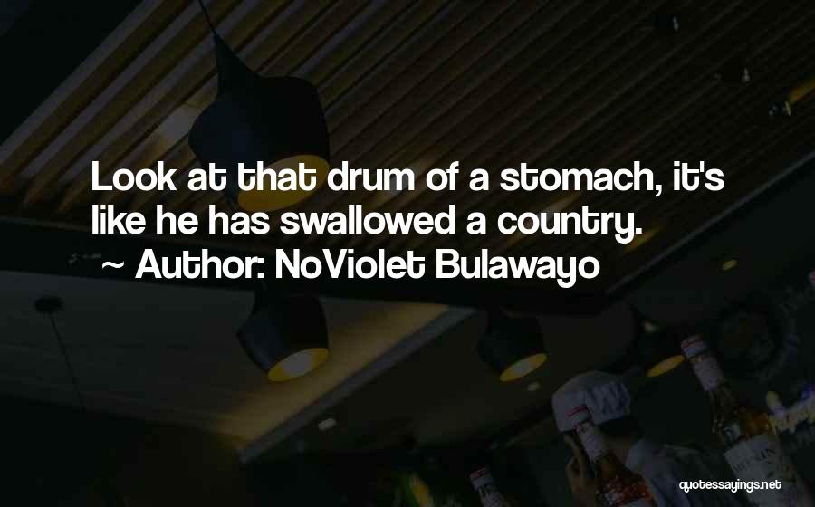 NoViolet Bulawayo Quotes 932348