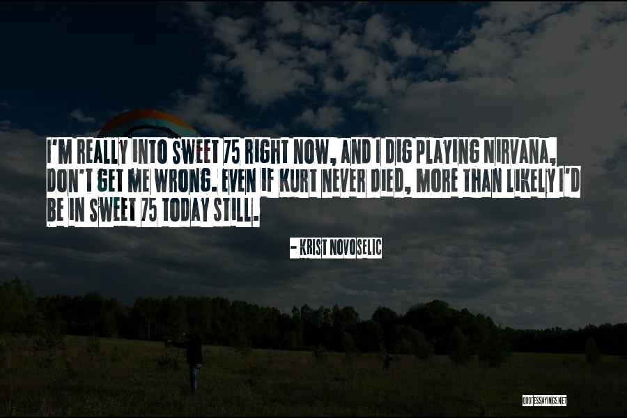 Novoselic Nirvana Quotes By Krist Novoselic Novoselic Nirvana Quotes By Krist Novoselic