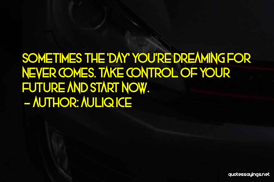 Now And Future Quotes By Auliq Ice