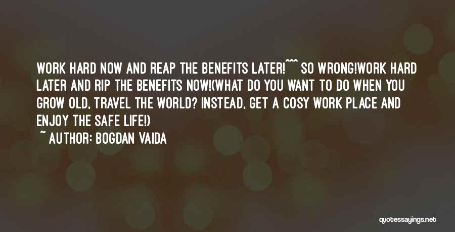 Now And Later Quotes By Bogdan Vaida