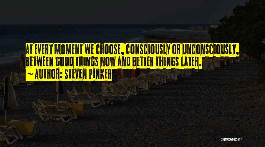 Now And Later Quotes By Steven Pinker