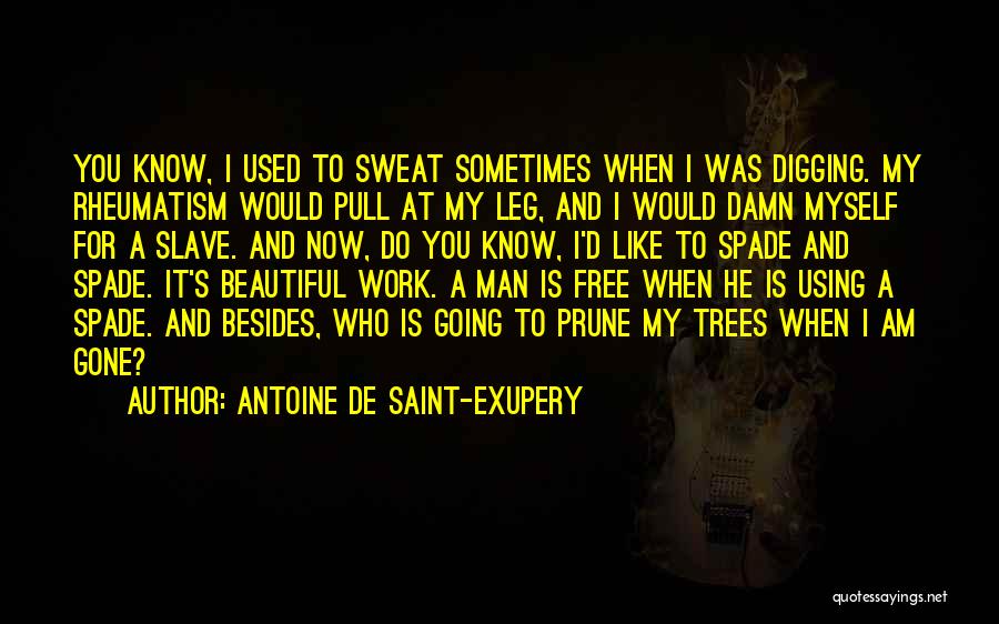 Now He's Gone Quotes By Antoine De Saint-Exupery