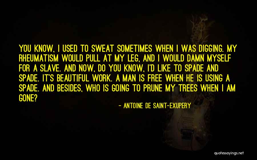 Now He's Gone Quotes By Antoine De Saint-Exupery Now He's Gone Quotes By Antoine De Saint-Exupery