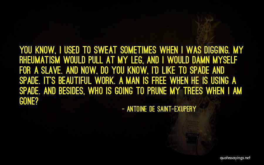 Now He's Gone Quotes By Antoine De Saint-Exupery