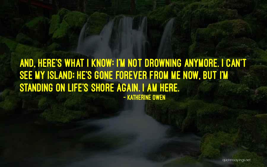 Now He's Gone Quotes By Katherine Owen