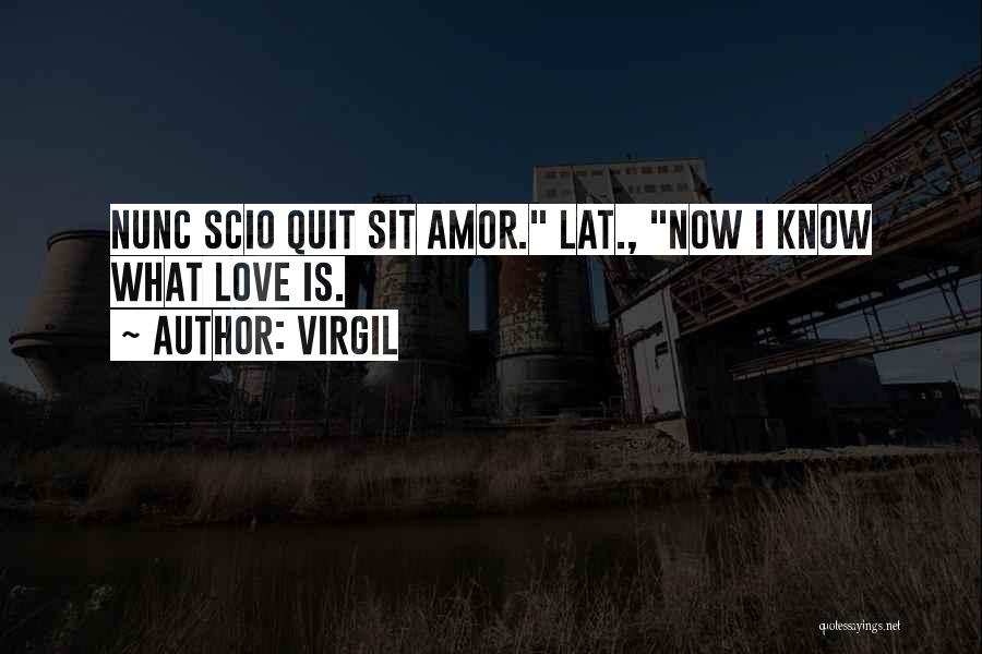 Now I Know What Love Is Quotes By Virgil