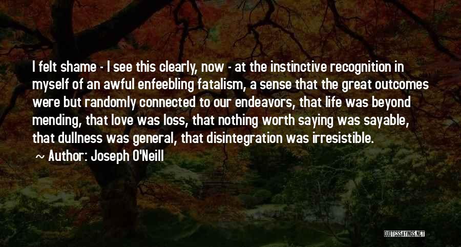 Now I See Clearly Quotes By Joseph O'Neill