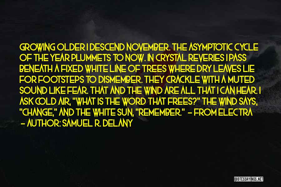 Now In November Quotes By Samuel R. Delany