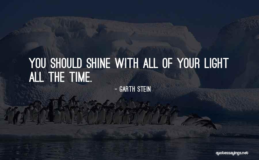 Now Is Your Time To Shine Quotes By Garth Stein Now Is Your Time To Shine Quotes By Garth Stein