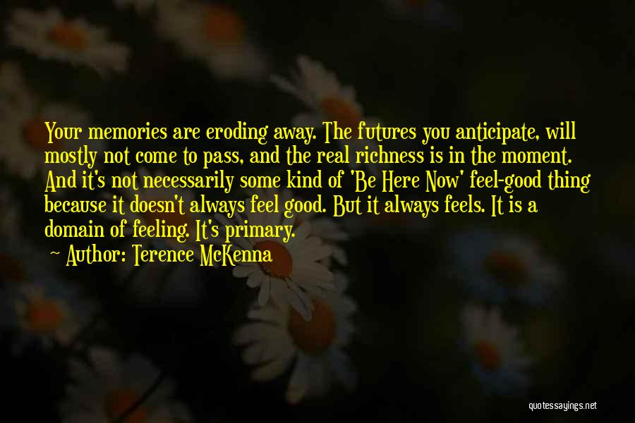 Now It's Good Quotes By Terence McKenna