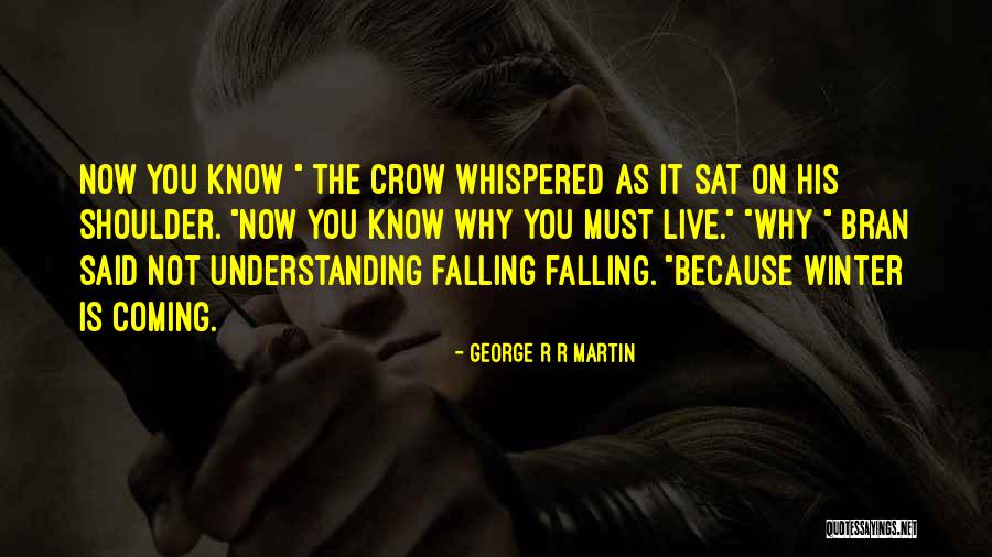 Now Now Quotes By George R R Martin Now Now Quotes By George R R Martin