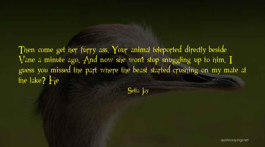 Now Now Quotes By Setta Jay Now Now Quotes By Setta Jay