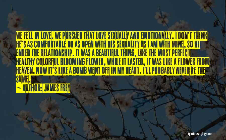 Now Or Never Relationship Quotes By James Frey