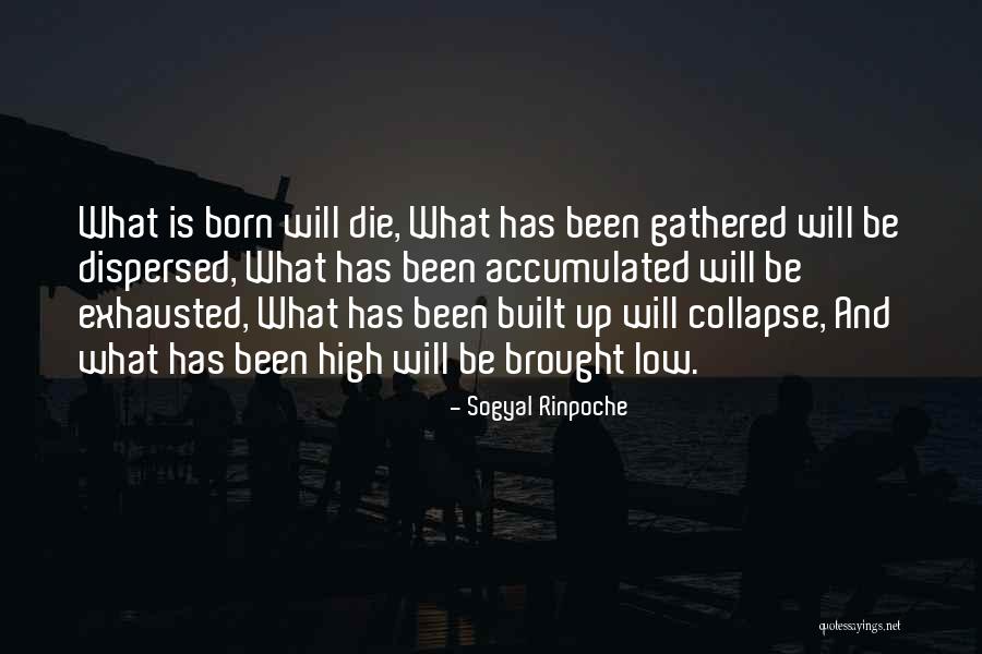 Now Our Will But Yours Be Done Quotes By Sogyal Rinpoche Now Our Will But Yours Be Done Quotes By Sogyal Rinpoche