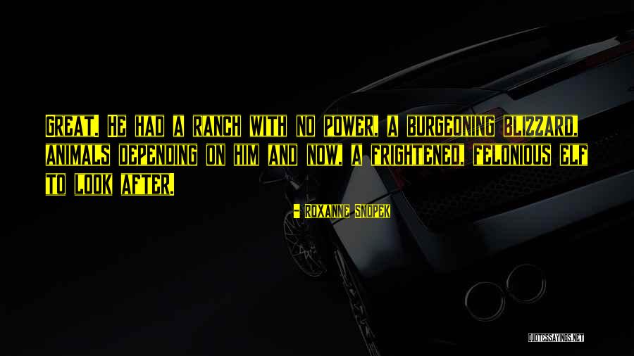 Now Quotes By Roxanne Snopek Now Quotes By Roxanne Snopek