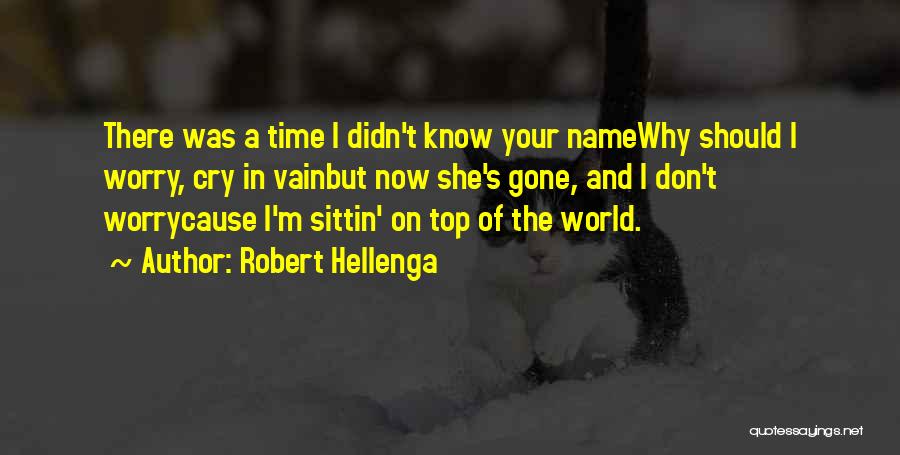 Now She's Gone Quotes By Robert Hellenga
