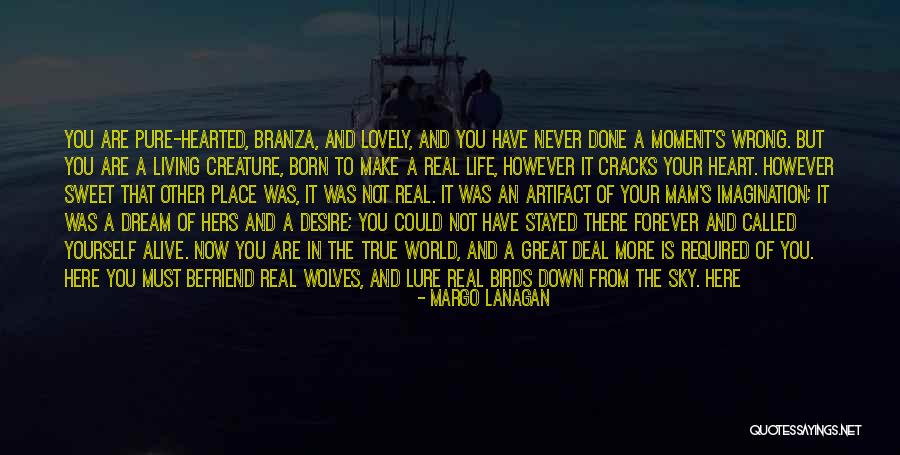 Now That You Are Here Quotes By Margo Lanagan Now That You Are Here Quotes By Margo Lanagan