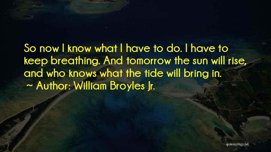 Now What To Do Quotes By William Broyles Jr.