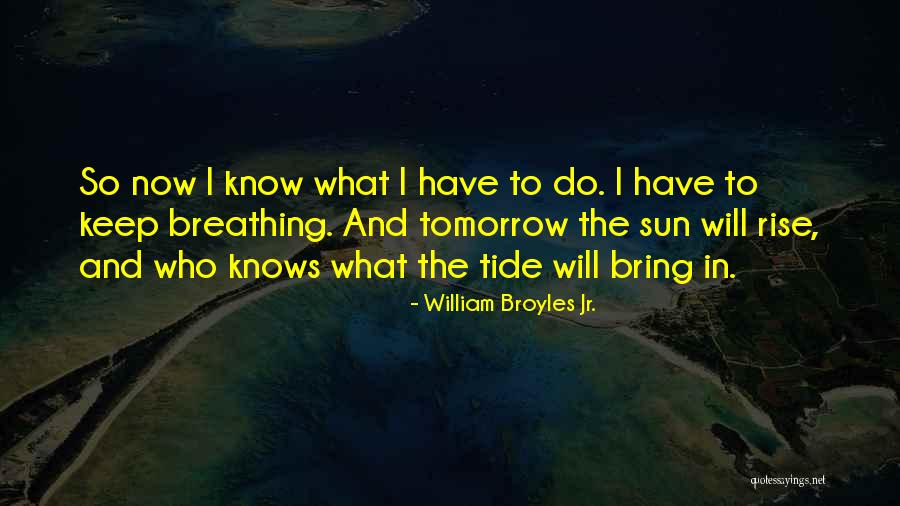 Now What To Do Quotes By William Broyles Jr.