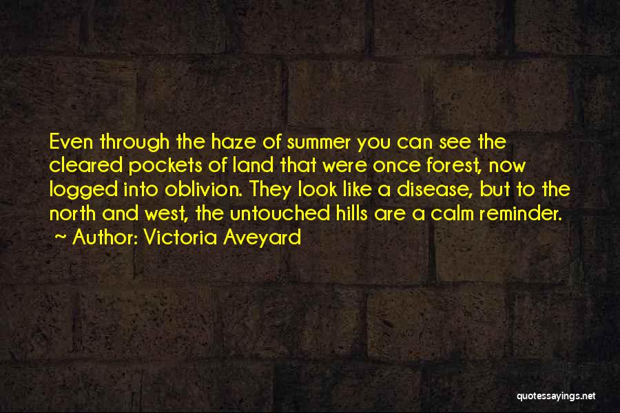 Now You Can See Quotes By Victoria Aveyard