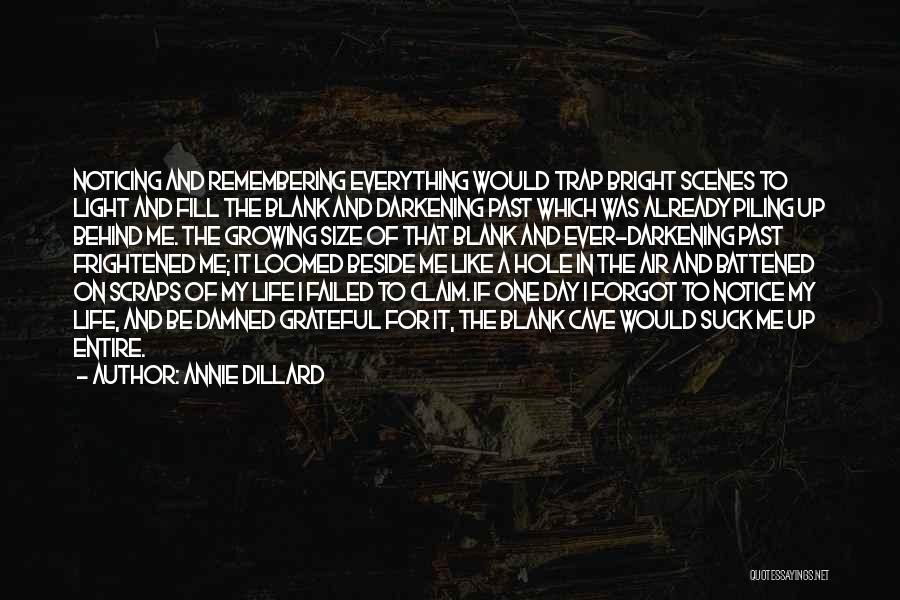 Now You Forgot Me Quotes By Annie Dillard