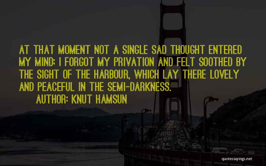 Now You Forgot Me Quotes By Knut Hamsun