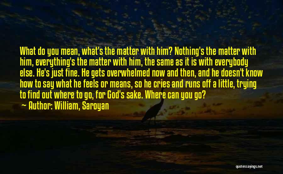 Now You Know How It Feels Quotes By William, Saroyan
