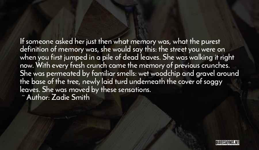 Now You're Just A Memory Quotes By Zadie Smith