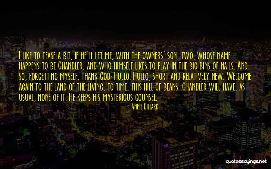 Nowise By Darwin Quotes By Annie Dillard Nowise By Darwin Quotes By Annie Dillard